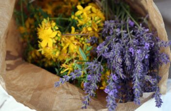 plants against parasites in the body