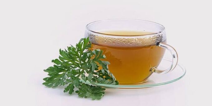 wormwood decoction of worms